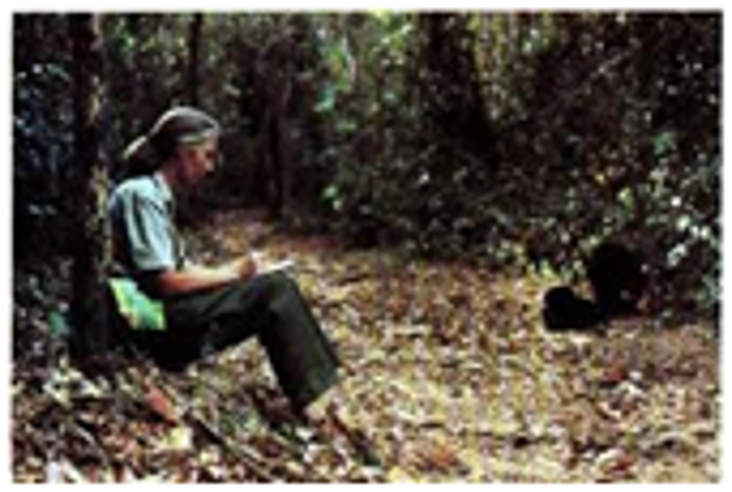 <p>Observing and recording behavior in naturally occurring situations without trying to manipulate and control the situation</p>