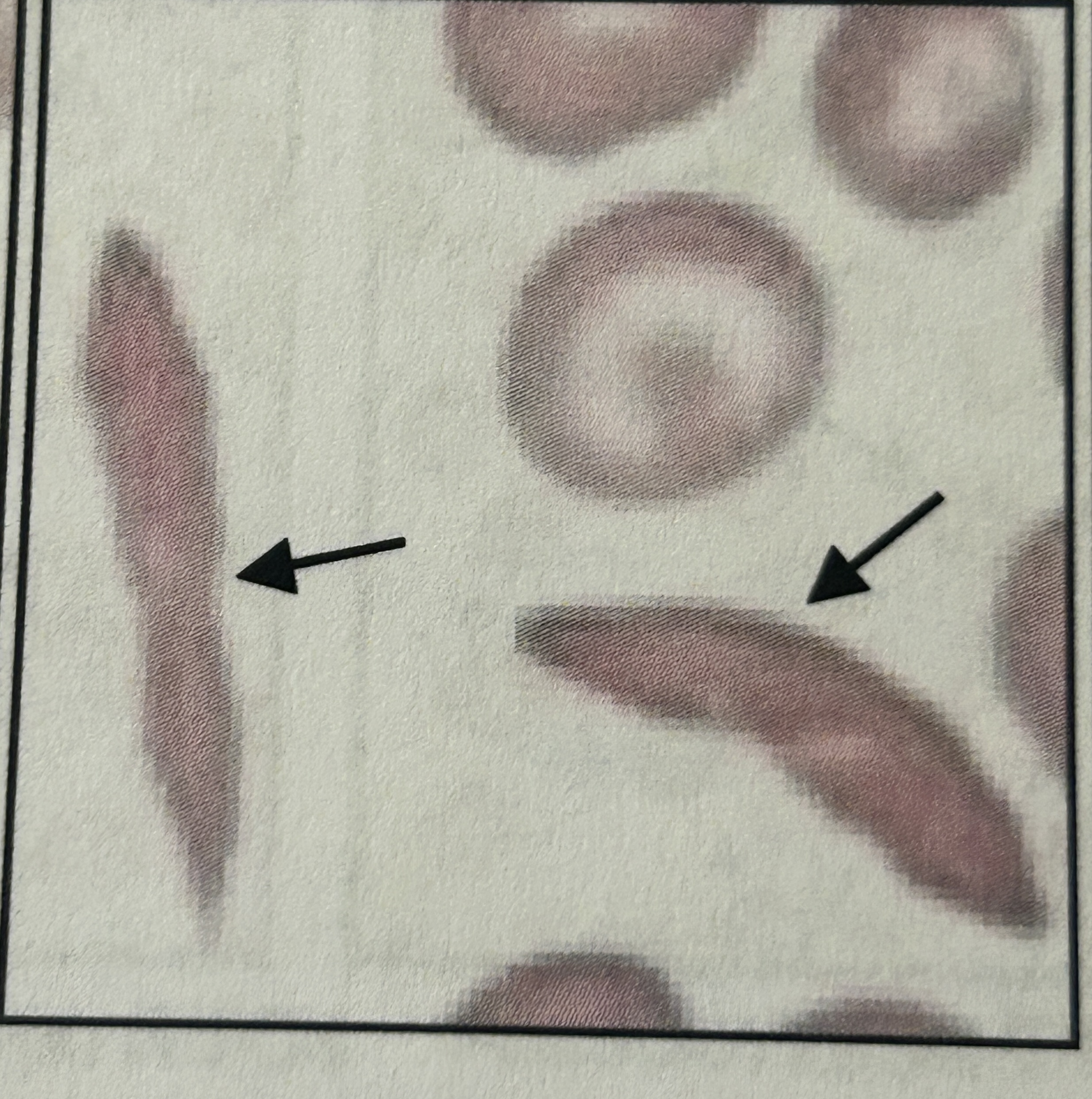 <p>?</p>