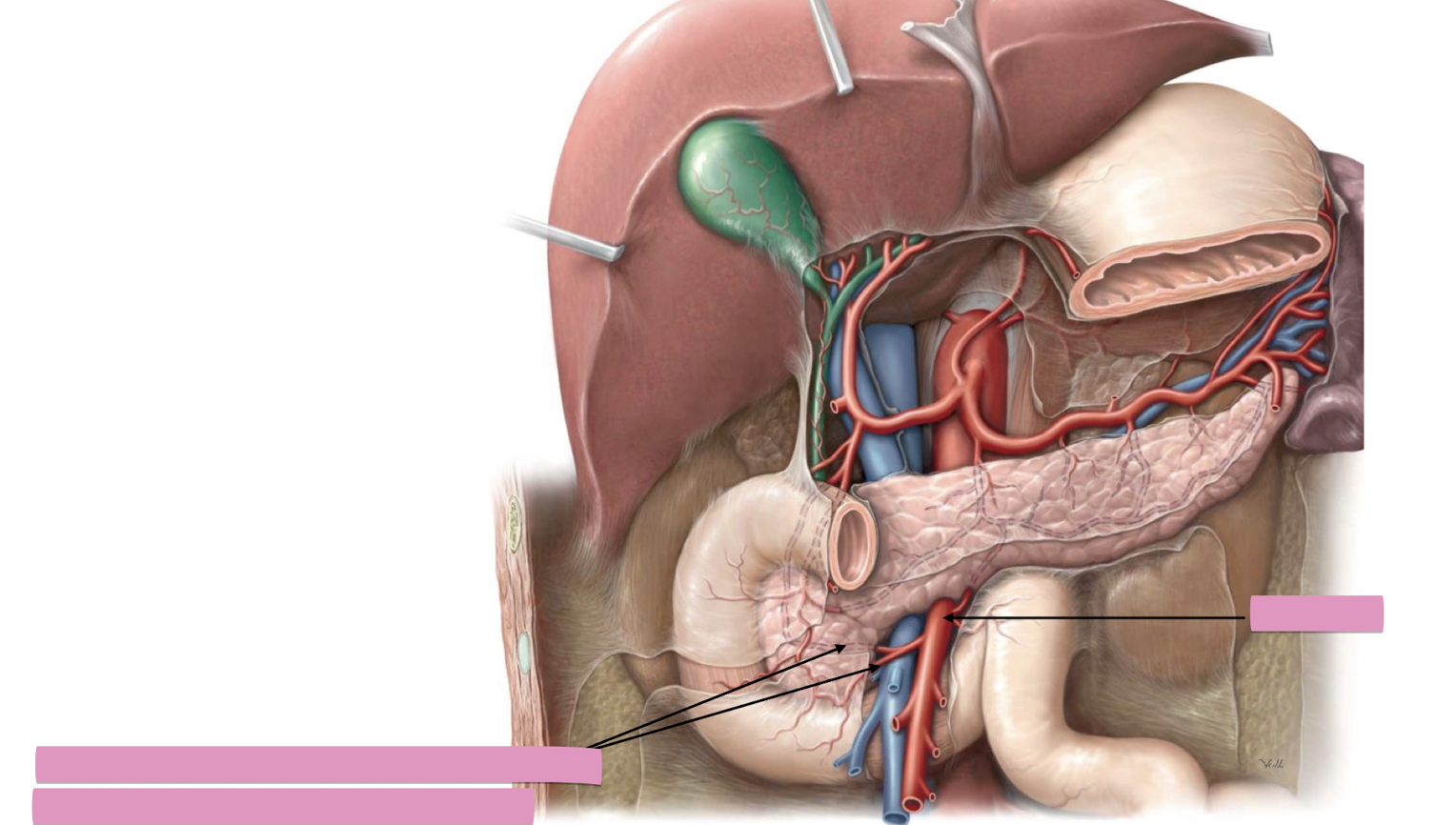 <p>Fill in the blank </p>