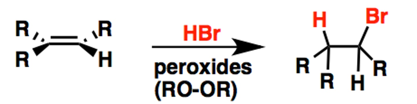 <p>-Reagents: Peroxides, heat/light</p><p>-Chain reaction</p><p>-Radical intermediates</p><p>-Anti-Markovnikov addition</p><p>-No stereochemical preference</p>