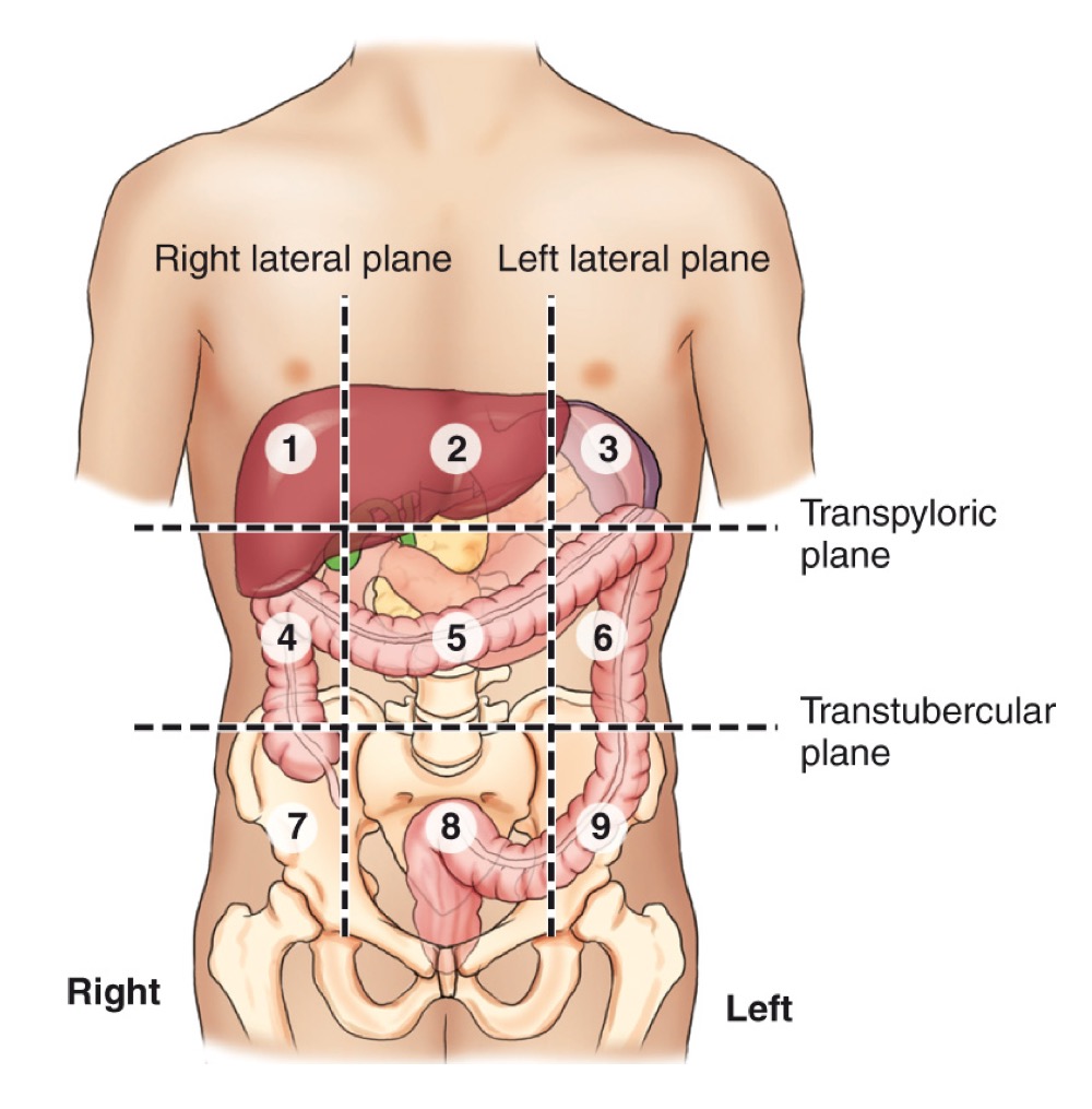 <p>A grid of regions: Right hypochondriac, Epigastric, Left hypochondriac, Right lumbar, Umbilical, Left lumbar, Right iliac (inguinal), Hypogastric, Left iliac (inguinal).</p>