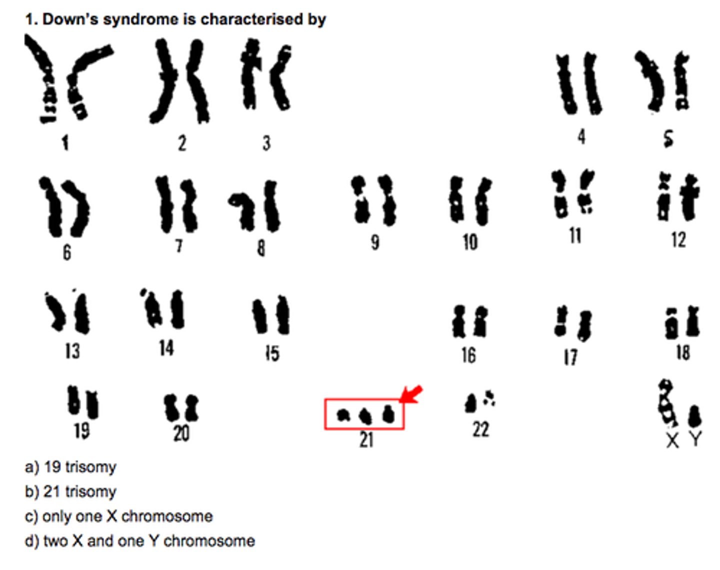 <p>Only chromosome can be duplicated (mutation) and still produce viable human life (other than sex chromosomes)</p>
