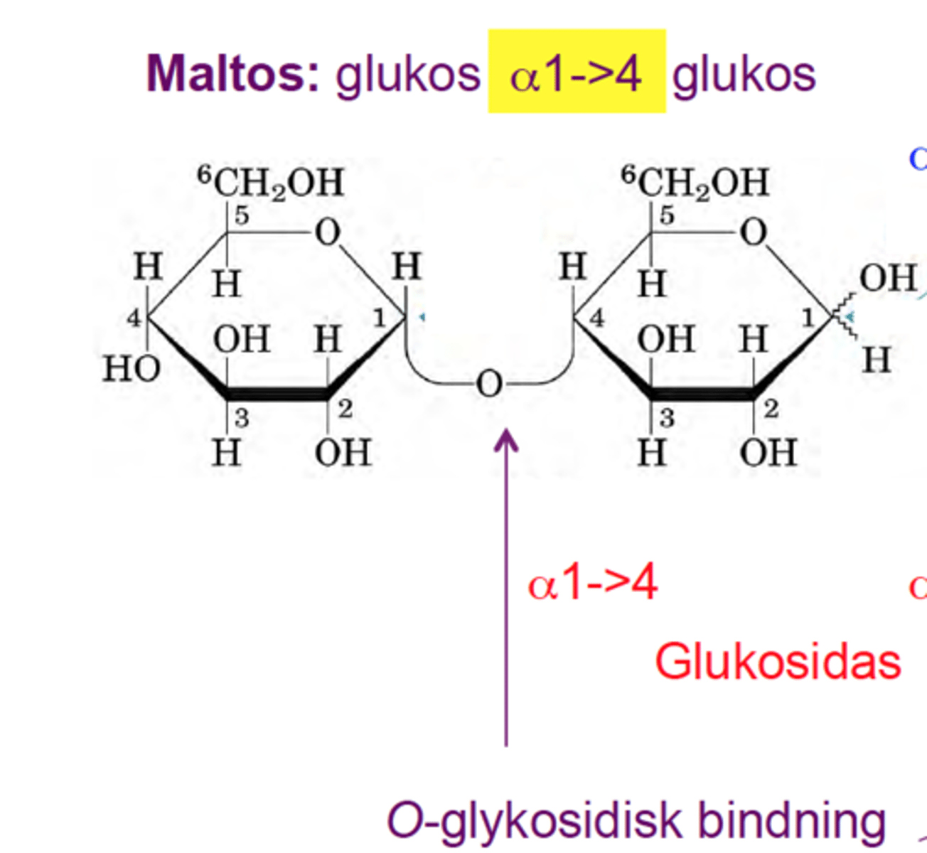 <p>Från OH-gruppens konfiguration (alpha/beta) och kolatomernas nummer</p>