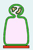 <p>Apocrine</p>