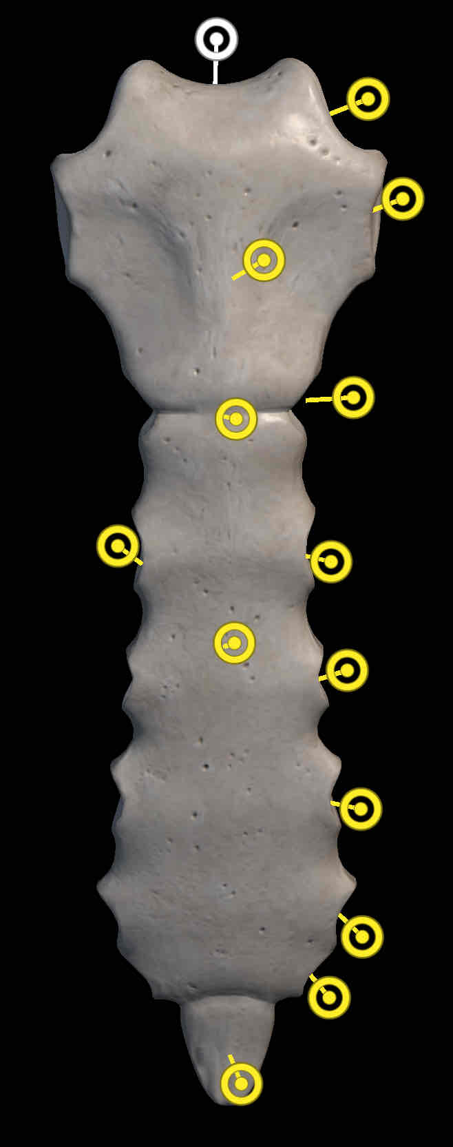 <p>Name structure </p>