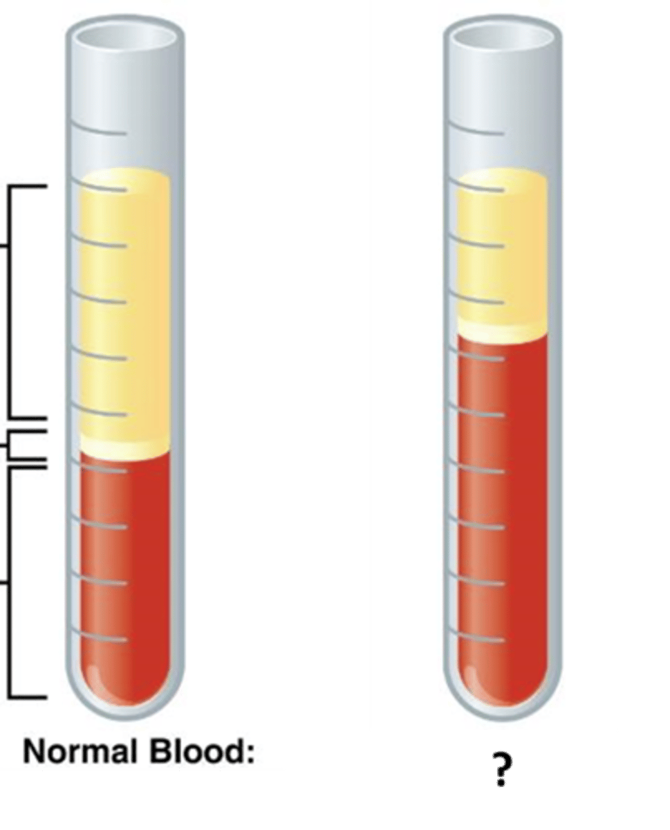 <p>A condition characterized by an increase in the red blood cell count or hematocrit, leading to thicker blood.</p>