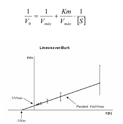 <p>La respresentació de <strong>Lineweaver-Burk</strong>: </p>