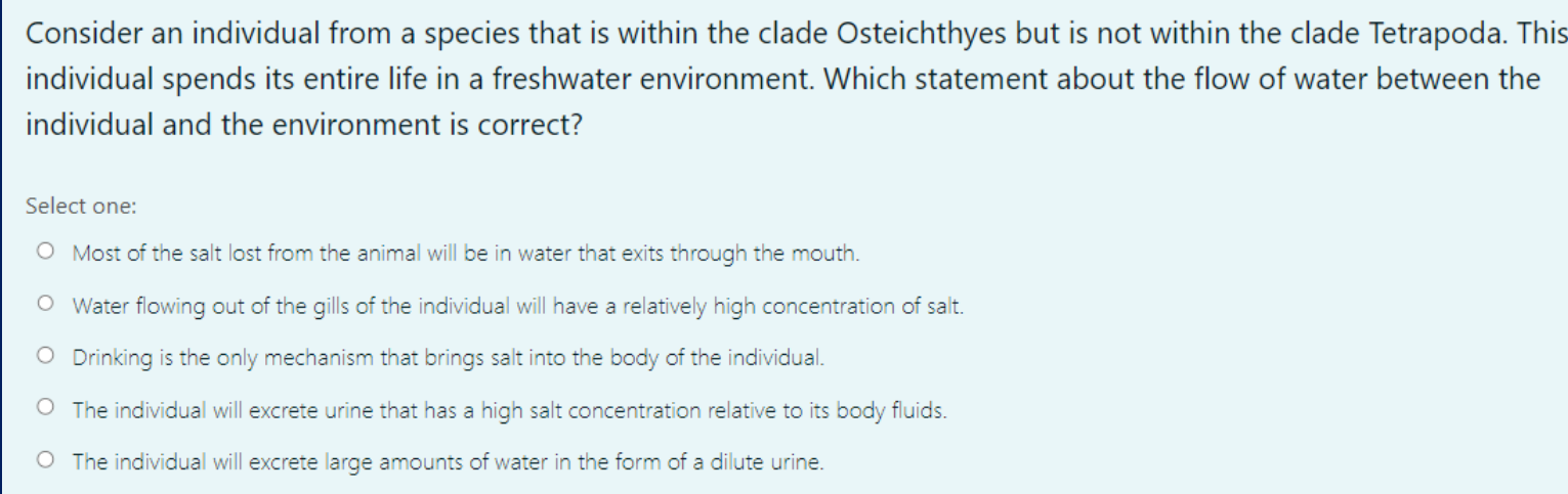 <p>look at image for question(from past exam)</p>