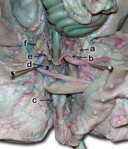 <p>a</p>