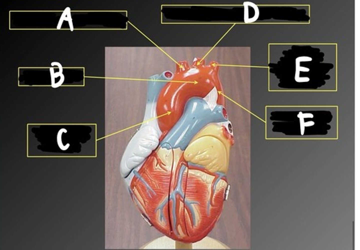 <p>What is B?</p>