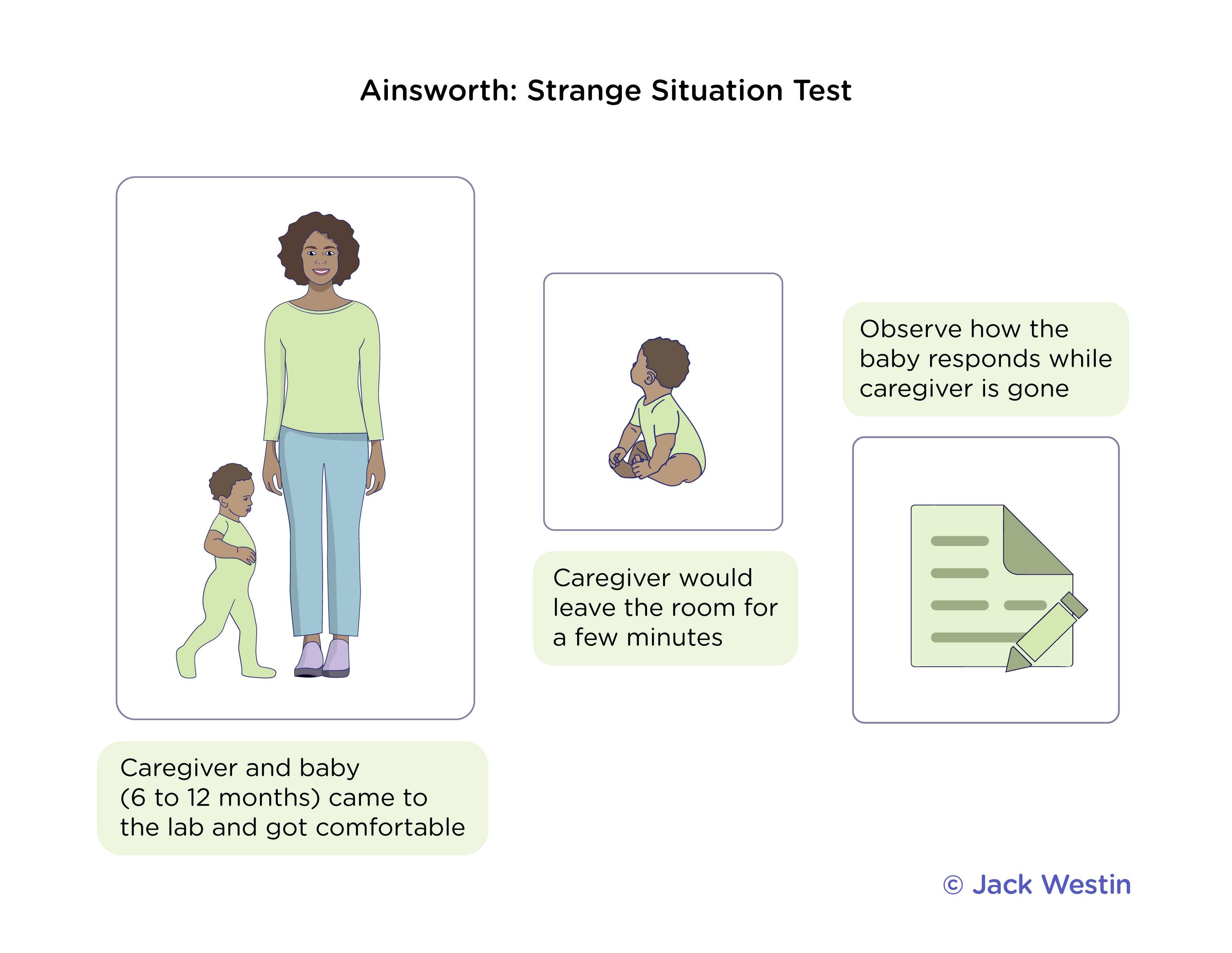 <p><strong>Attachment Theory (Mary Ainsworth)</strong> </p><p class="">Mary Ainsworth expanded on <strong>John Bowlby’s</strong> attachment theory by studying <strong>how infants form emotional bonds with caregivers</strong>. She identified <strong>four attachment styles</strong> based on the <strong>"Strange Situation" experiment</strong>, where a child’s reaction to separation and reunion with their caregiver was observed.</p><p class=""></p><p class="">A CHILD REQUIRES ATTACHMENT TO AT LEAST ONE CAREGIVER FOR SUCCESSFUL SOCIAL AND EMOTIONAL DEVELOPMENT</p><p> </p><p><strong>Strange Situation Experiment </strong></p><p class="">Ainsworth’s experiment involved <strong>a mother, an infant (12-18 months), and a stranger</strong> in a controlled setting with <strong>eight episodes</strong> of separation and reunion. The child’s responses were used to classify their attachment style.</p><p class=""></p><ol><li><p class=""><strong>Secure Attachment</strong> → The child is distressed when the caregiver leaves but is quickly comforted upon return.</p><ul><li><p class=""><strong>Example</strong>: A baby cries when their mom leaves but calms down when she returns and seeks comfort.</p></li></ul></li><li><p class=""><strong>Insecure-Avoidant Attachment</strong> → The child is indifferent to both the caregiver's departure and return, avoiding contact.</p><ul><li><p class=""><strong>Example</strong>: A baby shows little reaction when their mother leaves or returns, avoiding eye contact.</p></li></ul></li><li><p class=""><strong>Insecure-Ambivalent (Resistant) Attachment</strong> → The child is extremely distressed when the caregiver leaves and remains upset, even when comfort is offered.</p><ul><li><p class=""><strong>Example</strong>: A baby cries when their mom leaves, but when she returns, they resist being comforted.</p></li></ul></li><li><p class=""><strong>Disorganized Attachment</strong> → The child exhibits <strong>confused, fearful, or erratic</strong> behavior, often due to inconsistent caregiving (e.g., neglect or trauma).</p><ul><li><p class=""><strong>Example</strong>: A baby seems fearful of their caregiver and shows mixed signals (approaching but then pulling away).</p></li></ul></li></ol><p> </p><p><strong>MCAT Takeaways:</strong> </p><ul><li><p class=""><strong>Secure attachment</strong> → Healthy emotional bonds; confident in caregiver’s return.</p></li><li><p class=""><strong>Insecure attachments</strong> → Can lead to anxiety, avoidance, or disorganized behavior in relationships.</p></li><li><p class=""><strong>Strange Situation</strong> → Used to assess attachment styles in infants</p></li></ul><p></p>