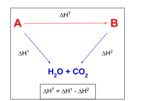 <p>oint down</p><p>H2O and CO2</p><p>reactants - products</p>
