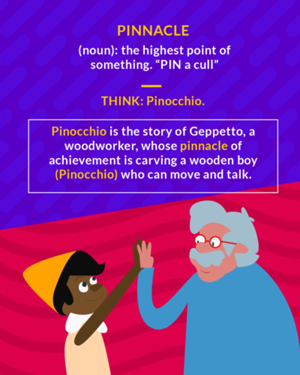 <p>a high peak or point</p>