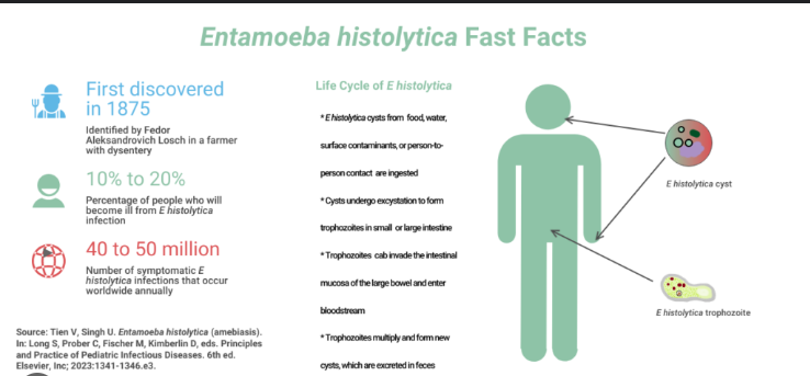 <p>Bloody diarrhea, abdominal pain, fever, liver abscess.</p>