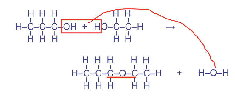 <p>Between 2 hydroxyl functional groups Forms the pattern COC</p>