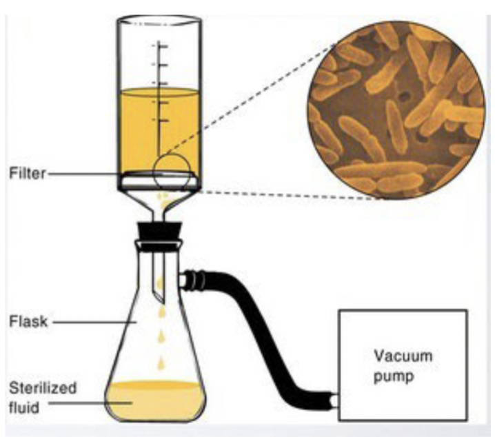 <p>Physical removal of microbes - depends on pore size</p><p>For liquids:</p><ul><li><p>membranes usually have pore sizes of 0.2 or 045 um to remove bacteria</p></li><li><p>do not remove viruses</p></li></ul><p></p>