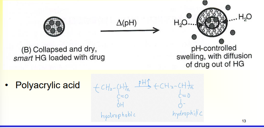 <p>• Containing acidic or basic pendant groups →which ionize at appropriate pH or ionic strength → ^ swelling</p>