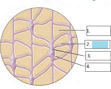 <p>2</p>