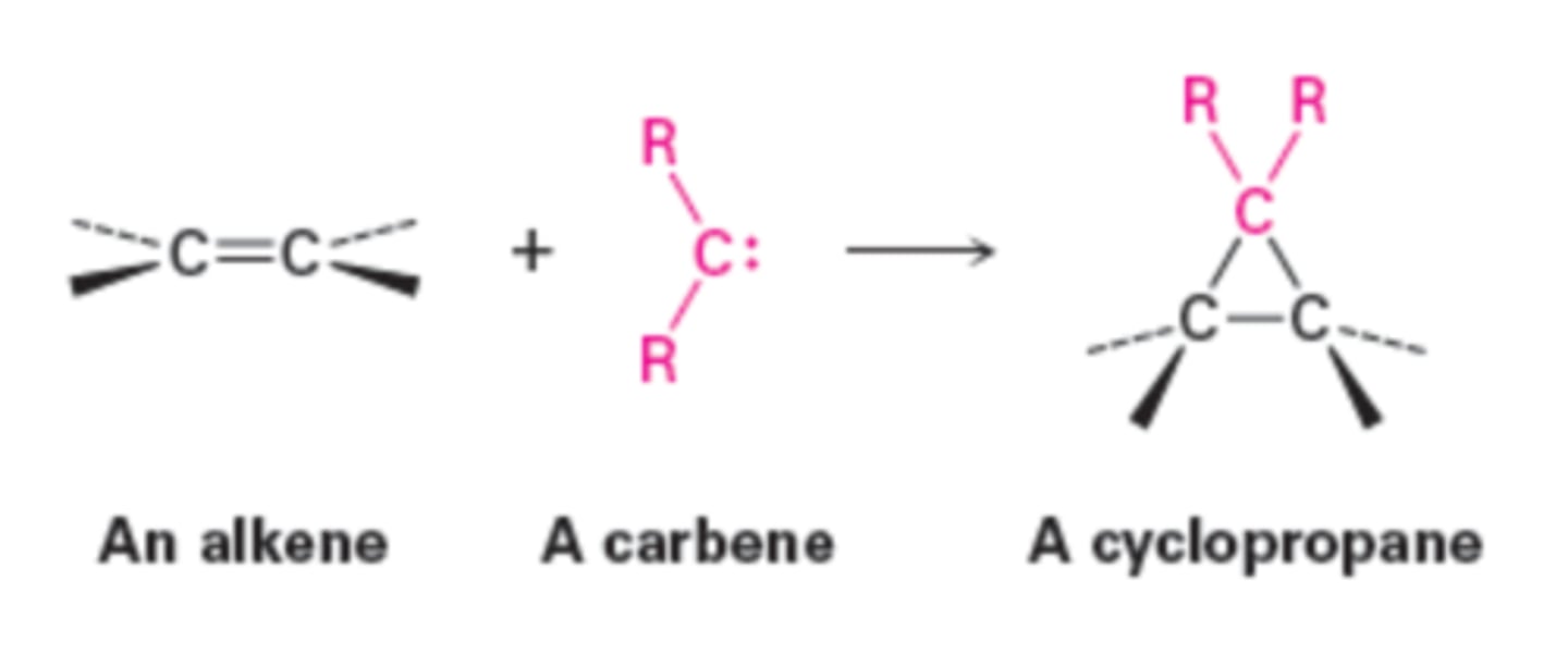 <p>forms a cycloalkane</p>