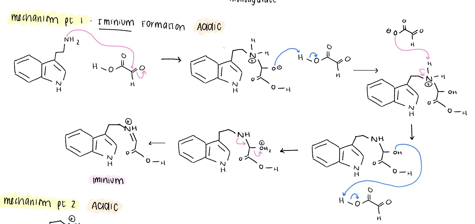 <p>iminium formation (acidic conditions)</p>
