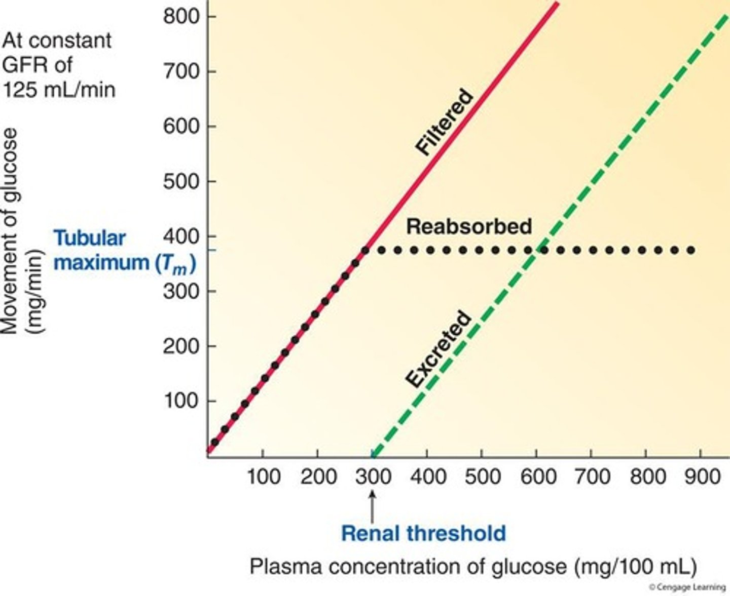 <p>300 mg/100 mL of plasma</p>