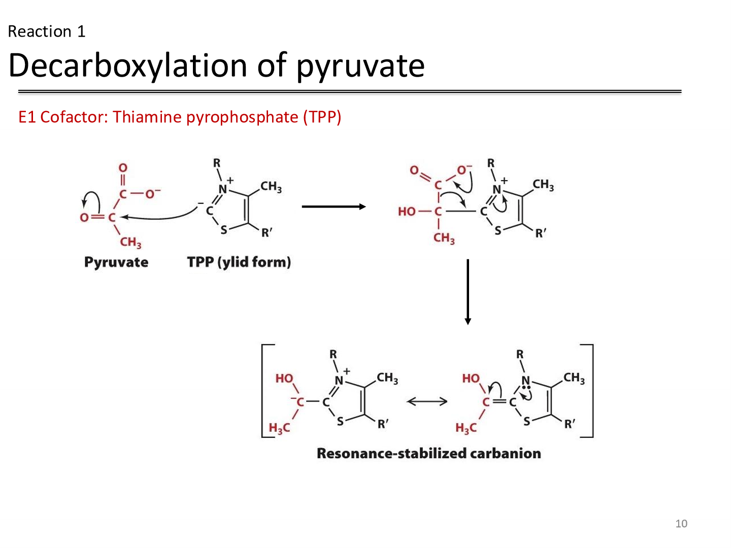 <p>Reactant: Pyruvate</p><p>Enzyme: Pyruvate dehydrogenase</p><p>Cofactor:&nbsp;Thiamine pyrophosphate (TPP) —&gt; decarboxylates pyruvate</p><p>Product: hydroxyethyl TPP carbanion (intermediate)</p>