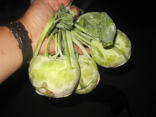 one large bulb at the bottom that typically comes to a point. It has a "stripe" type of texture to it, with prominent stems and leaves out of the top. The leaves are large and broad. The kohlrabi is white-yellow-purple/red in color, with the stems being yellow-green (or purple/red when it corresponds) and the leaves are green.