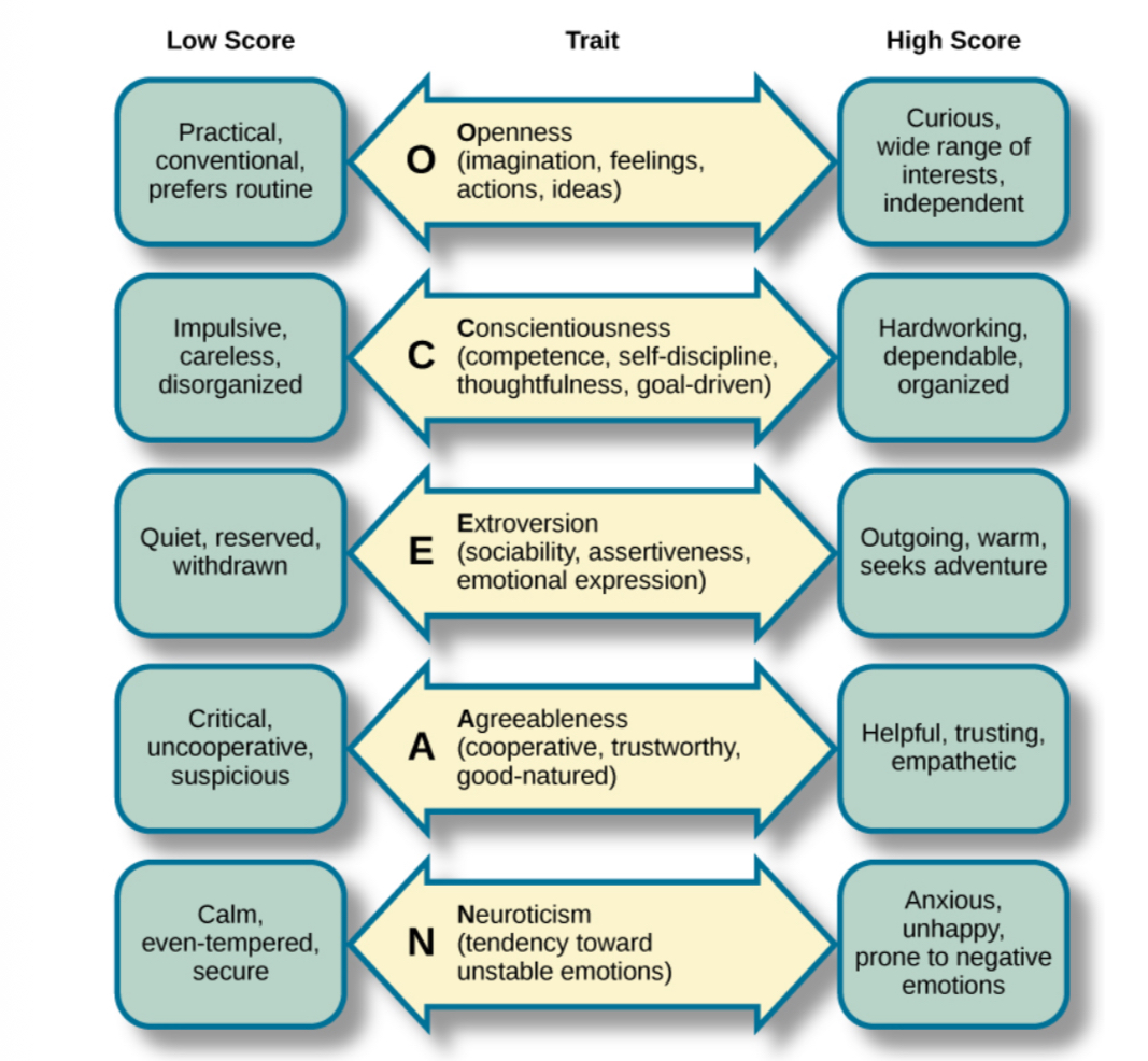 <p>Conscientiousness, agreeableness, neuroticism, openness, and extraversion.</p>