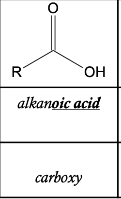 <p>Carboxylic Acid</p>