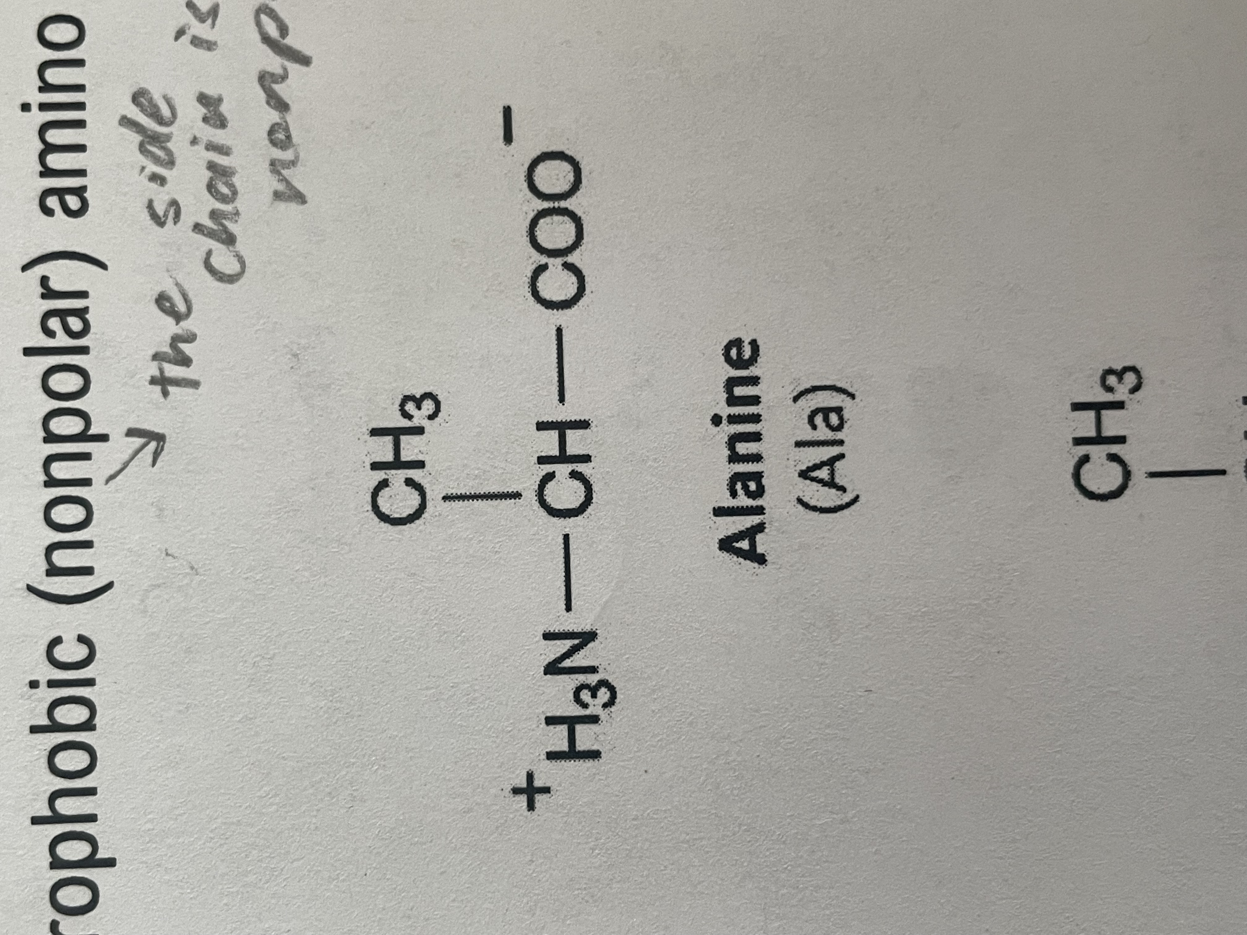 <p>non-polar (hydrophobic) </p>