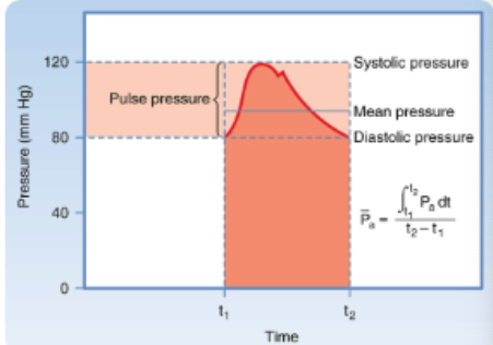 <p>mean arterial pressure (represents the driving force averaged over the time of the heartbeat obtained from bisecting the integral of the pressure curve)</p>
