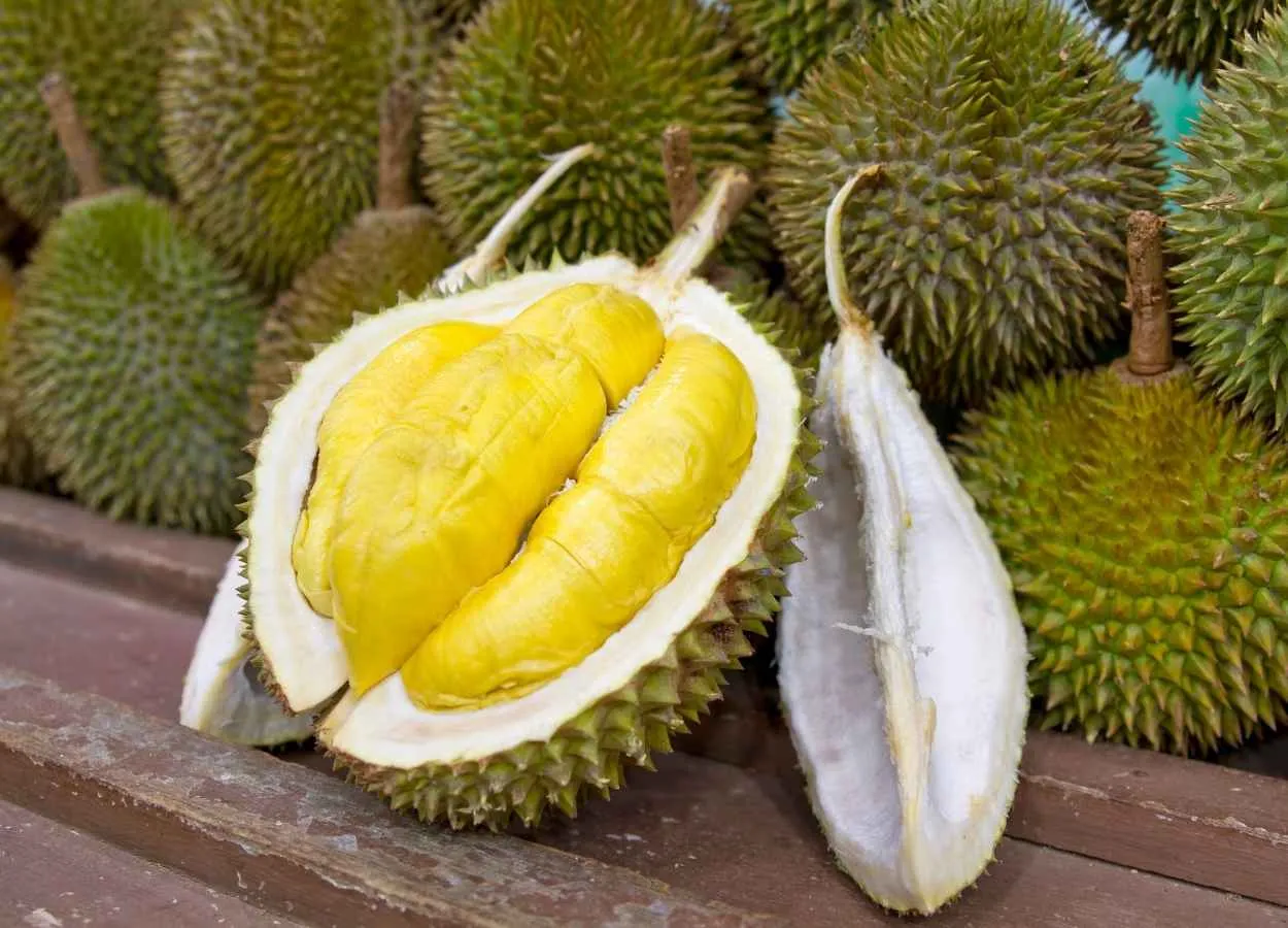 <p>Durian</p>