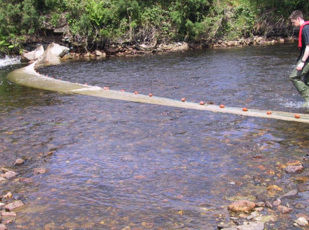<p>Population estimation for salmon: Depletion method</p><p>Stretch of river 10 - 15x stream width</p><p>Stream section sampled repeatedly; fish captured are removed</p><p>→ each sampling pass should remove fewer fish</p><p>→ Total population can be estimated by extrapolating the decreasing number to 0</p>