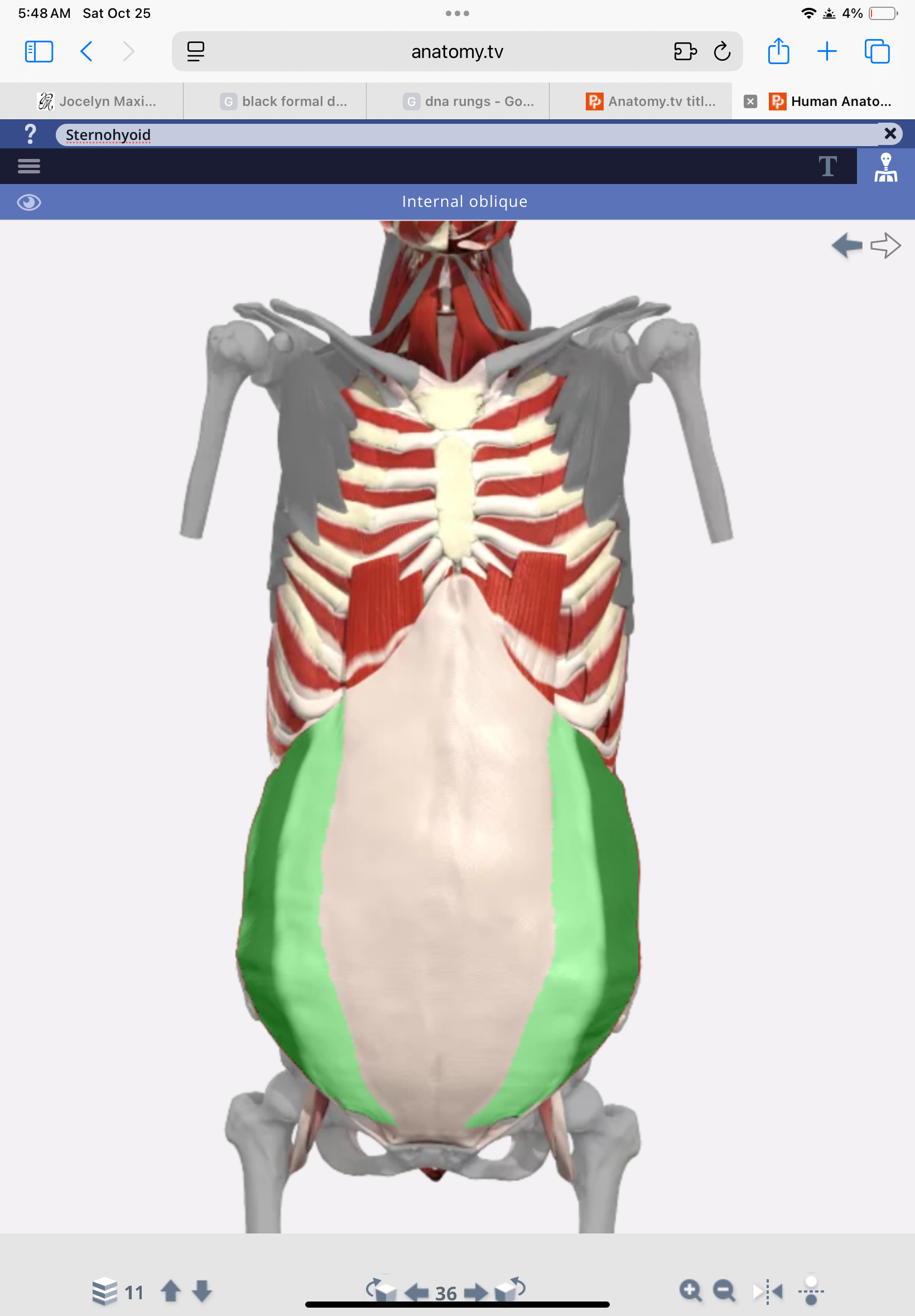 knowt flashcard image