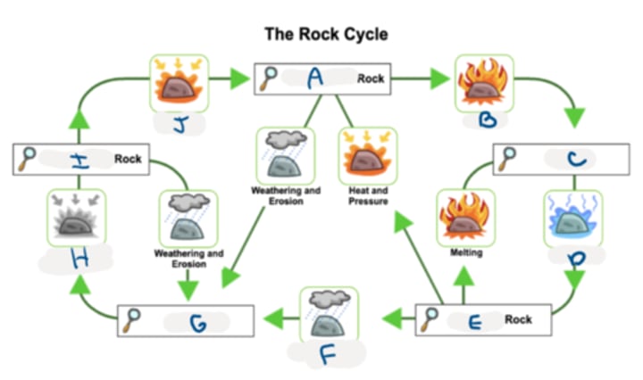 <p>label the rock cycle</p>