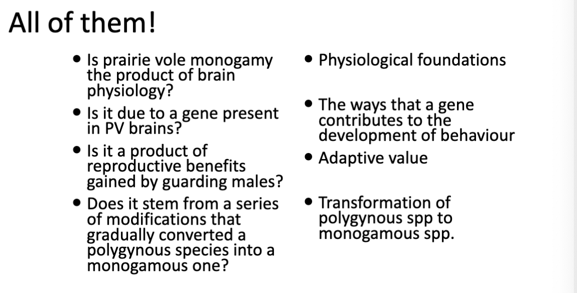 <p>Vole experiment MAIN INFO LEARNED </p>