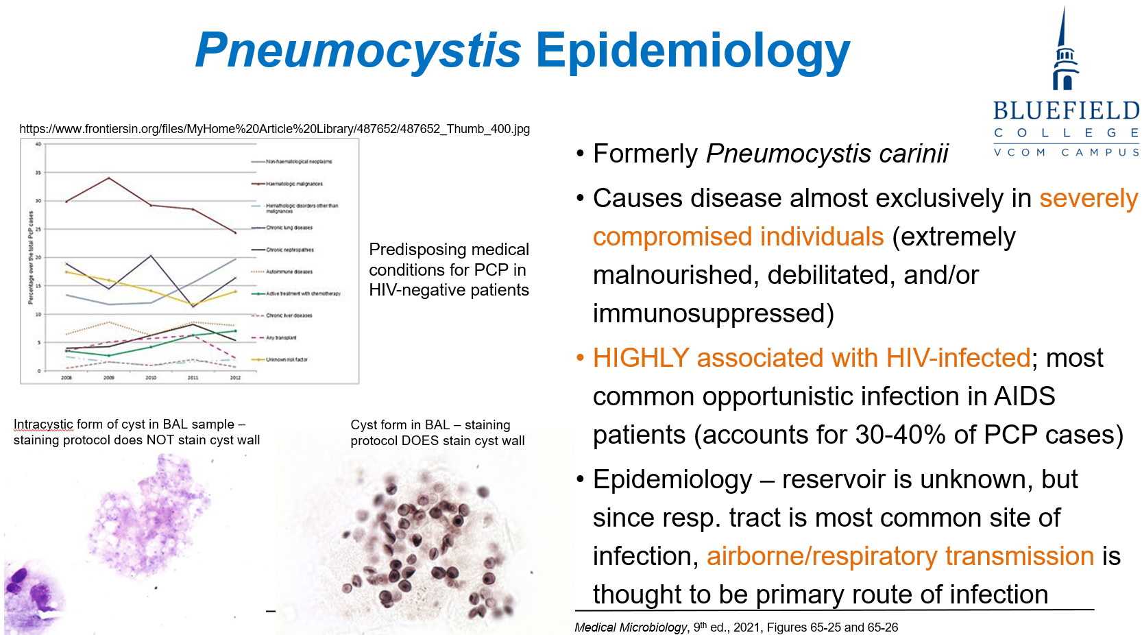 <p>D. HIV patients with CD4 &lt;200<br></p><p><em>Pneumocystis</em> is the most common <strong>AIDS-defining infection</strong> with <strong>CD4 &lt; 200 cells/μL</strong>.</p>