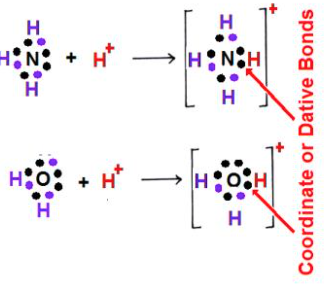 <p>covalent bond in which both bonding e- come from the same atom</p>