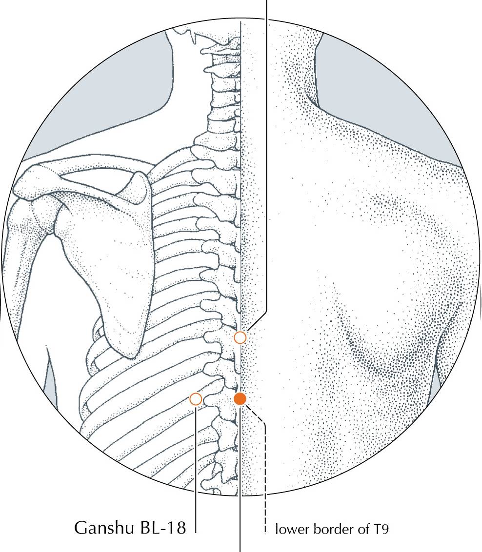 <p>DU-8</p>