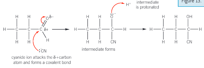 <ol><li><p>the cynanyde ion attacks the electron deficient C. The lone pair from the cyanide ion is attracted and donated to the delta + carbon atom in the aldehyde or ketone C=O double bond. A dative covalent bond forms</p></li><li><p>The pi bond breaks in C=O by heterolytic fission forming a negatively charged intermediate</p></li><li><p>the intermediate is protonated by donating a lone pair f electrons to a hydrogen ion to form the product </p></li></ol><p>the product is a hydroxynitrile</p><p></p><p>(second stage can also be drawn showing protonation by water</p><p></p>