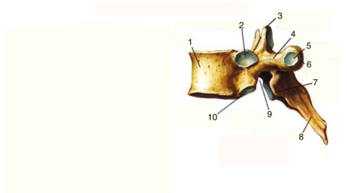 <p>9</p>