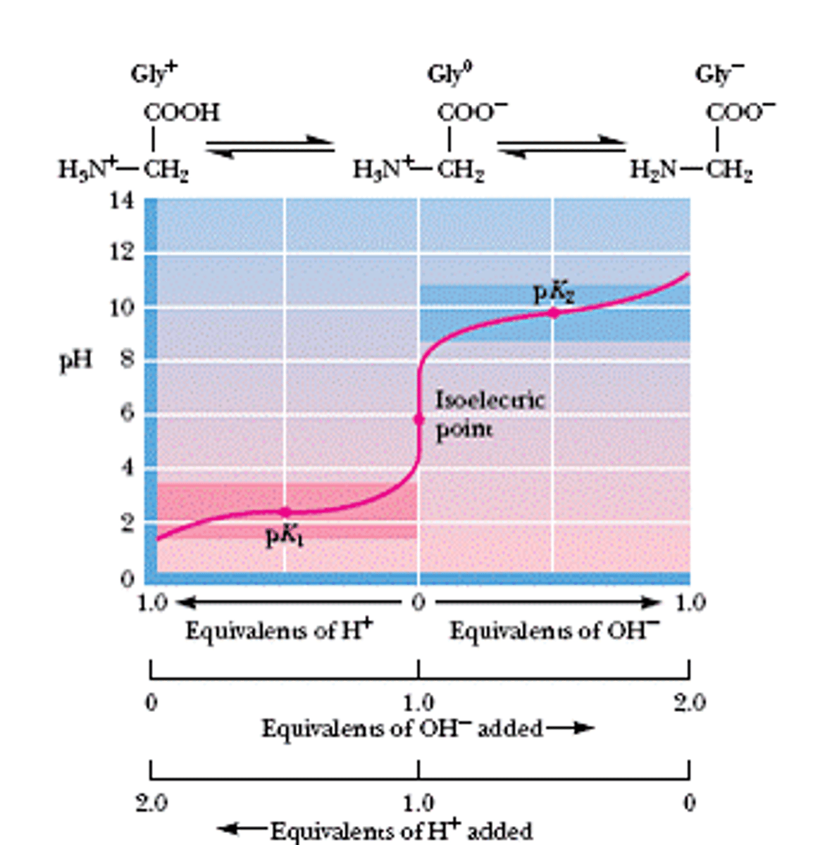 <p>Isoelectric line</p>