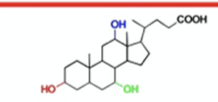 what type of bile acid is this?