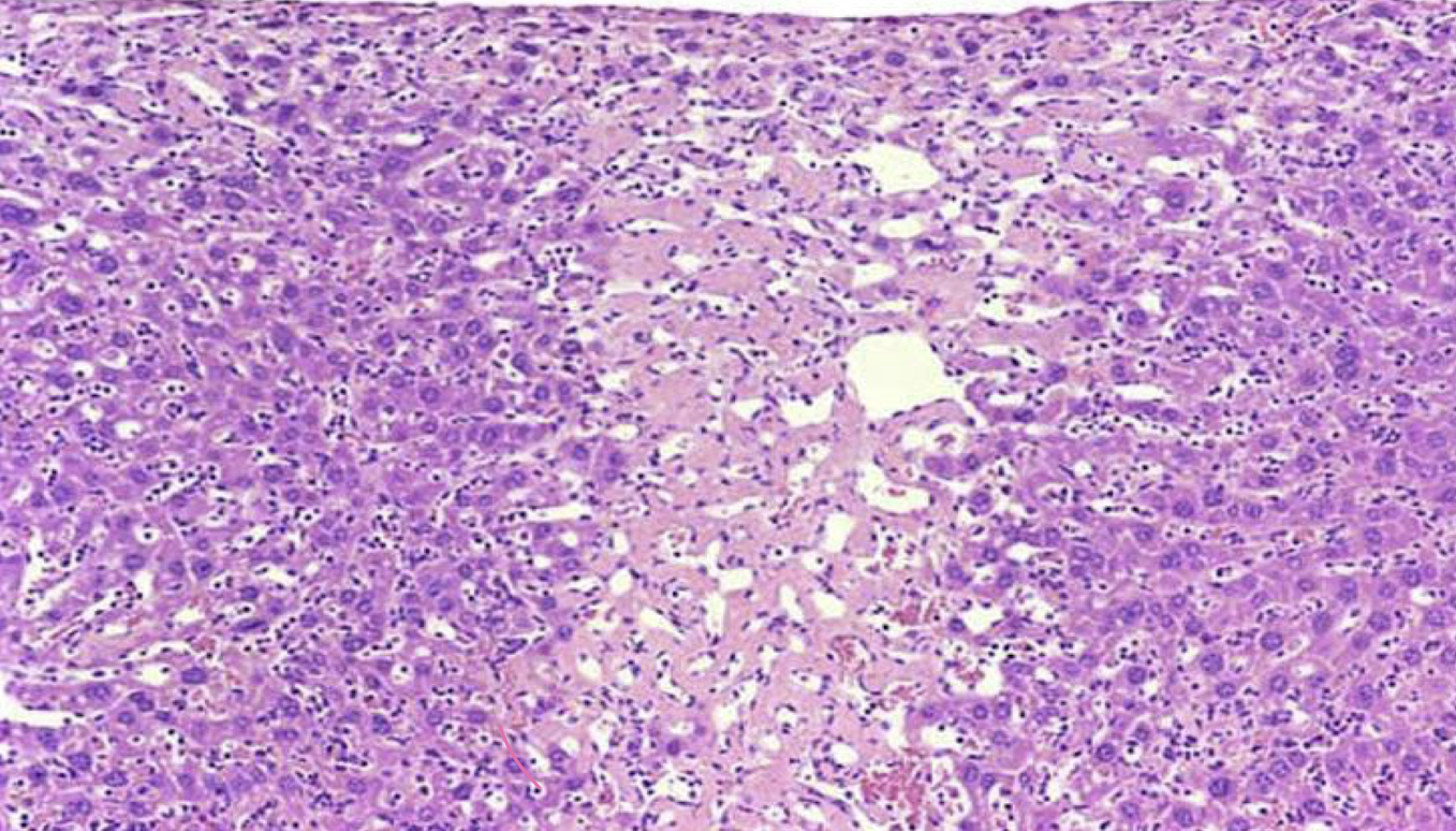 <p>What is this an image of?</p>