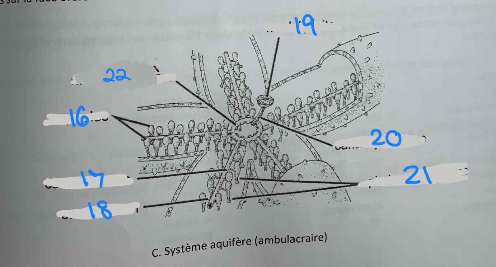 <p>19</p>