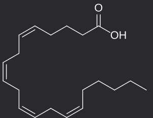 <p>polyunsaturated omega−6 fatty acid; precursor in the formation of prostaglandins</p>