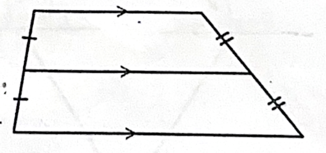 <p>The median of a trapezoid is 1: <em>_</em><br>The median of a trapezoid is <em>2: </em>_</p>