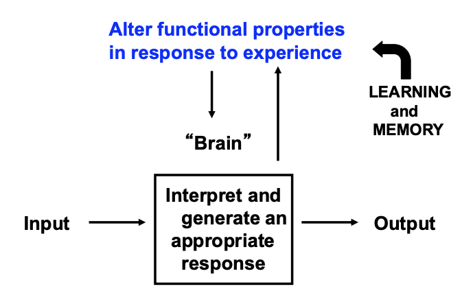 <p>________ and _______ can alter the output due to changes in the interpretation center</p>