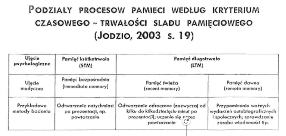 <ul><li><p>Ultrakrótkotrwała SM</p></li><li><p>Krótkotrwała STM</p></li><li><p>Trwała TM</p></li></ul>