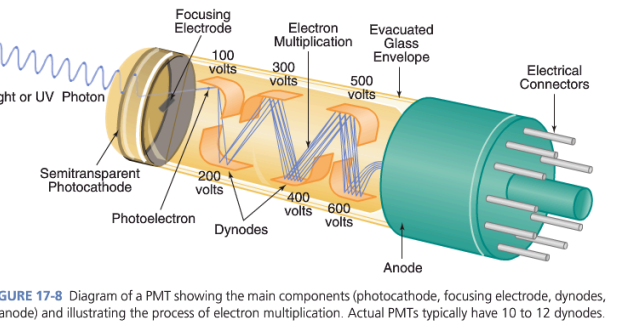 <p>What are the main components of a photomultiplier tube (PMT)?</p>